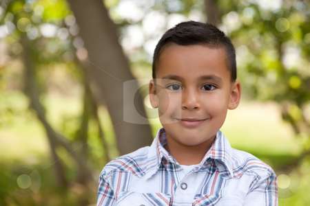 To use this stock image in your creative project, please select the size you need over to the right and click the "Add to Cart" button.
Your downloaded image will come with the Cutcaster watermark removed so don’t worry about the watermark you see on this page. Handsome Young Boy in the Park stock photo, Handsome Young Hispanic Boy Having Fun in the Park. by Andy Dean