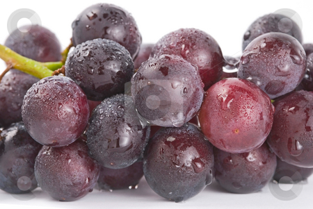 To use this stock image in your creative project, please select the size you need over to the right and click the "Add to Cart" button.
Your downloaded image will come with the Cutcaster watermark removed so don’t worry about the watermark you see on this page. Grapes with drops, fresh fruit. stock photo, Fresh grapes with drops, delicious fruit. by Lawren