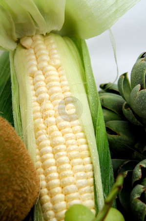 To use this stock image in your creative project, please select the size you need over to the right and click the "Add to Cart" button.
Your downloaded image will come with the Cutcaster watermark removed so don’t worry about the watermark you see on this page. White Sweet Corn stock photo, An ear of corn with the husk partially pealed back showing the kernels inside. by Lynn Bendickson