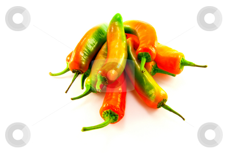 To use this stock image in your creative project, please select the size you need over to the right and click the "Add to Cart" button.
Your downloaded image will come with the Cutcaster watermark removed so don’t worry about the watermark you see on this page. Pile of Chillis stock photo, Pile of red and green chillis with clipping path on a white background by Keith Wilson
