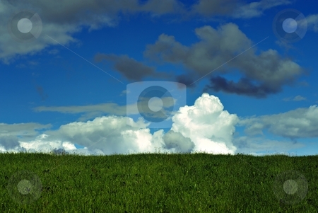 To use this stock image in your creative project, please select the size you need over to the right and click the "Add to Cart" button.
Your downloaded image will come with the Cutcaster watermark removed so don’t worry about the watermark you see on this page. Summer meadow stock photo, Summer meadow with cloudy sky by Juraj Kovacik