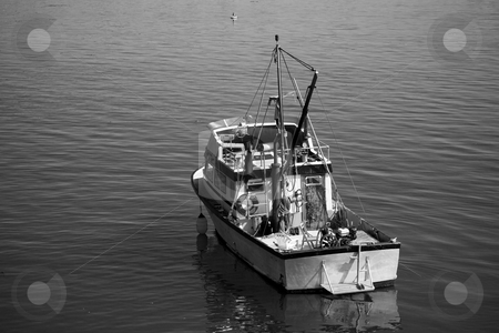 To use this stock image in your creative project, please select the size you need over to the right and click the "Add to Cart" button.
Your downloaded image will come with the Cutcaster watermark removed so don’t worry about the watermark you see on this page. Small Fishing Boat stock photo, A close up on a small fishing boat in the bay. by Travis Manley