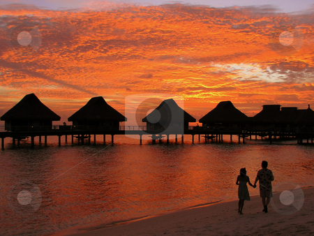 To use this stock image in your creative project, please select the size you need over to the right and click the "Add to Cart" button.
Your downloaded image will come with the Cutcaster watermark removed so don’t worry about the watermark you see on this page. Tahiti Sunset stock photo, by Ryan Dandy