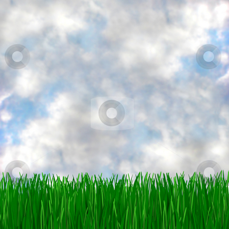To use this stock image in your creative project, please select the size you need over to the right and click the "Add to Cart" button.
Your downloaded image will come with the Cutcaster watermark removed so don’t worry about the watermark you see on this page. Green Grass Meets Blue Sky stock photo, A green, grassy field and cloudy blue sky, makes for a beautiful background by Chris Lamphear
