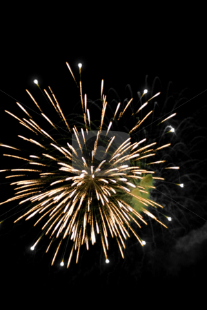 To use this stock image in your creative project, please select the size you need over to the right and click the "Add to Cart" button.
Your downloaded image will come with the Cutcaster watermark removed so don’t worry about the watermark you see on this page. Beautiful Fireworks stock photo, Beautiful fireworks exploding over a dark night sky. Plenty of copyspace. by Todd Arena