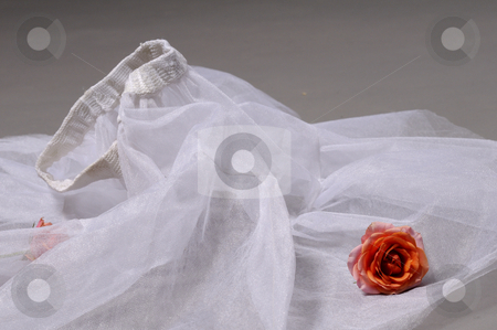 To use this stock image in your creative project, please select the size you need over to the right and click the "Add to Cart" button.
Your downloaded image will come with the Cutcaster watermark removed so don’t worry about the watermark you see on this page. Elegant ballerina stock photo, Elegant ballerina smiling by Dragos Iliescu