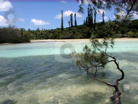 To use this stock image in your creative project, please select the size you need over to the right and click the "Add to Cart" button.
Your downloaded image will come with the Cutcaster watermark removed so don’t worry about the watermark you see on this page. Private Lagoon stock photo, by Ryan Dandy