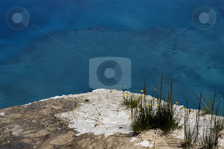 To use this stock image in your creative project, please select the size you need over to the right and click the "Add to Cart" button.
Your downloaded image will come with the Cutcaster watermark removed so don’t worry about the watermark you see on this page. Sapphire Pool, Yellowstone National Park stock photo, Sapphire Pool, Very Hot Spring, with yellow flowers, Yellowstone National Park, Wyoming by William Perry