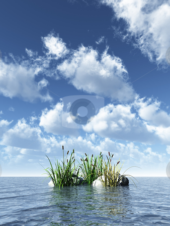 To use this stock image in your creative project, please select the size you need over to the right and click the "Add to Cart" button.
Your downloaded image will come with the Cutcaster watermark removed so don’t worry about the watermark you see on this page. Reed stock photo, Reed and stones at the ocean - 3d illustration by J?