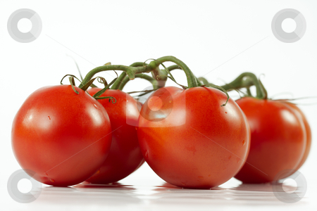 To use this stock image in your creative project, please select the size you need over to the right and click the "Add to Cart" button.
Your downloaded image will come with the Cutcaster watermark removed so don’t worry about the watermark you see on this page. Tomato stock photo, Cluster of tomatoes on a white background by Sergey Goruppa