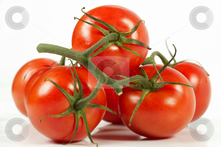 To use this stock image in your creative project, please select the size you need over to the right and click the "Add to Cart" button.
Your downloaded image will come with the Cutcaster watermark removed so don’t worry about the watermark you see on this page. Tomato stock photo, Cluster of tomatoes on a white background by Sergey Goruppa