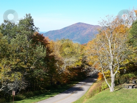 To use this stock image in your creative project, please select the size you need over to the right and click the "Add to Cart" button.
Your downloaded image will come with the Cutcaster watermark removed so don’t worry about the watermark you see on this page. Autumn Drive stock photo, An access road leads through the forest to a picnic area off the Blue Ridge Parkway. by Rebecca Ledford