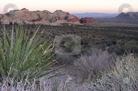 To use this stock image in your creative project, please select the size you need over to the right and click the "Add to Cart" button.
Your downloaded image will come with the Cutcaster watermark removed so don’t worry about the watermark you see on this page. Red Rock Vista stock photo, by Ryan Dandy