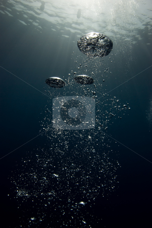 To use this stock image in your creative project, please select the size you need over to the right and click the "Add to Cart" button.
Your downloaded image will come with the Cutcaster watermark removed so don’t worry about the watermark you see on this page. Bubbles in the blue stock photo, Bubbles in the ocean. by Mark Doherty