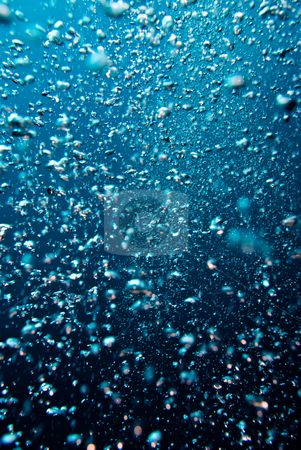 To use this stock image in your creative project, please select the size you need over to the right and click the "Add to Cart" button.
Your downloaded image will come with the Cutcaster watermark removed so don’t worry about the watermark you see on this page. Bubbles in the ocean. stock photo, Bubbles in the ocean. by Mark Doherty