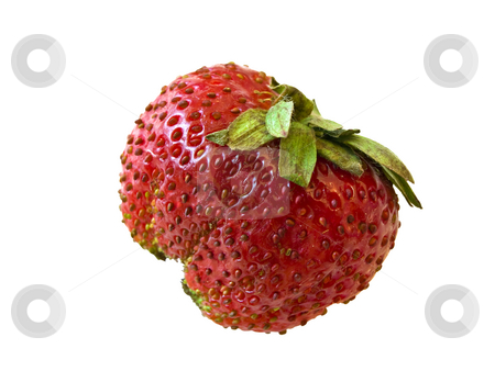 To use this stock image in your creative project, please select the size you need over to the right and click the "Add to Cart" button.
Your downloaded image will come with the Cutcaster watermark removed so don’t worry about the watermark you see on this page. Strawberry stock photo, Single isolated strawberry against the white background by Sergej Razvodovskij
