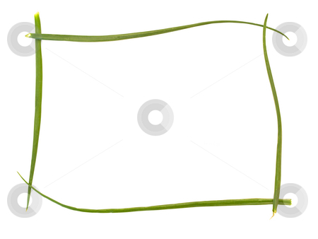To use this stock image in your creative project, please select the size you need over to the right and click the "Add to Cart" button.
Your downloaded image will come with the Cutcaster watermark removed so don’t worry about the watermark you see on this page. Onion stock photo, Green bunch-onion frame against white background by Sergej Razvodovskij