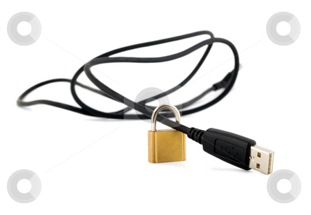 To use this stock image in your creative project, please select the size you need over to the right and click the "Add to Cart" button.
Your downloaded image will come with the Cutcaster watermark removed so don’t worry about the watermark you see on this page. Computer cable stock photo, Computer cable internet security locked isolated on white background by Vladyslav Danilin