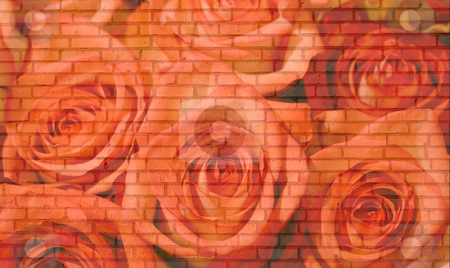 To use this stock image in your creative project, please select the size you need over to the right and click the "Add to Cart" button.
Your downloaded image will come with the Cutcaster watermark removed so don’t worry about the watermark you see on this page. Roses brick wall stock photo, Roses brick wall background. Many old bricks . by Vladyslav Danilin