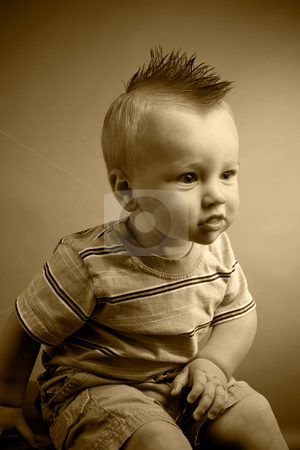 To use this stock image in your creative project, please select the size you need over to the right and click the "Add to Cart" button.
Your downloaded image will come with the Cutcaster watermark removed so don’t worry about the watermark you see on this page. Nine Month Old Boy stock photo, A portrait of a cute nine month old baby boy. by Travis Manley