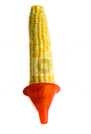 To use this stock image in your creative project, please select the size you need over to the right and click the "Add to Cart" button.
Your downloaded image will come with the Cutcaster watermark removed so don’t worry about the watermark you see on this page. Corn stock photo, Corn close-up isolated on white background by Vladyslav Danilin
