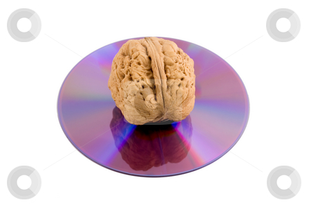 To use this stock image in your creative project, please select the size you need over to the right and click the "Add to Cart" button.
Your downloaded image will come with the Cutcaster watermark removed so don’t worry about the watermark you see on this page. Walnut in disk cd stock photo, Walnut in disk cd close-up concepts isolated on white background by Vladyslav Danilin
