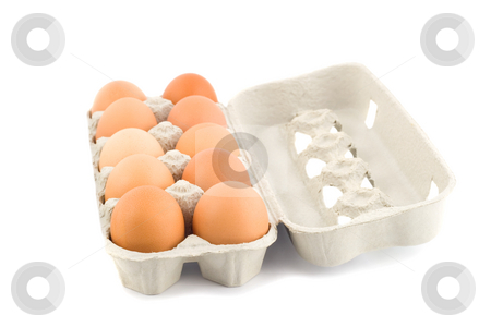 To use this stock image in your creative project, please select the size you need over to the right and click the "Add to Cart" button.
Your downloaded image will come with the Cutcaster watermark removed so don’t worry about the watermark you see on this page. Eggs stock photo, Eggs in protective case foreground close-up isolated on white background by Vladyslav Danilin