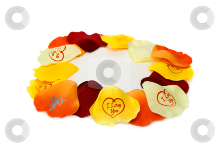 To use this stock image in your creative project, please select the size you need over to the right and click the "Add to Cart" button.
Your downloaded image will come with the Cutcaster watermark removed so don’t worry about the watermark you see on this page. Petal roses stock photo, Petal roses with a blank gift card isolated on white background by Vladyslav Danilin