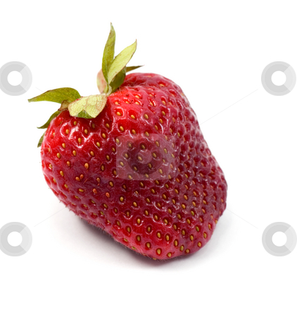 To use this stock image in your creative project, please select the size you need over to the right and click the "Add to Cart" button.
Your downloaded image will come with the Cutcaster watermark removed so don’t worry about the watermark you see on this page. Strawberries stock photo, Strawberries close-up isolated on white background by Vladyslav Danilin