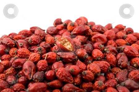 To use this stock image in your creative project, please select the size you need over to the right and click the "Add to Cart" button.
Your downloaded image will come with the Cutcaster watermark removed so don’t worry about the watermark you see on this page. Red berry stock photo, Red berry wild rose isolated on white background by Vladyslav Danilin