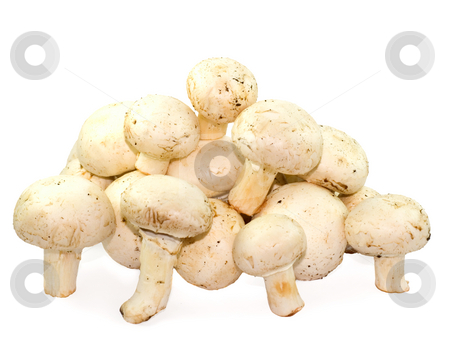 To use this stock image in your creative project, please select the size you need over to the right and click the "Add to Cart" button.
Your downloaded image will come with the Cutcaster watermark removed so don’t worry about the watermark you see on this page. Mushrooms stock photo, Mushrooms isolated on white background by Vladyslav Danilin