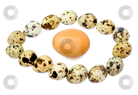 To use this stock image in your creative project, please select the size you need over to the right and click the "Add to Cart" button.
Your downloaded image will come with the Cutcaster watermark removed so don’t worry about the watermark you see on this page. Egg in eggs stock photo, Egg in eggs close-up isolated on white background by Vladyslav Danilin