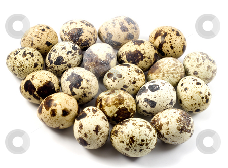 To use this stock image in your creative project, please select the size you need over to the right and click the "Add to Cart" button.
Your downloaded image will come with the Cutcaster watermark removed so don’t worry about the watermark you see on this page. Quail eggs in egg shape stock photo, Quail eggs in egg shape , isolated on white background. by Vladyslav Danilin