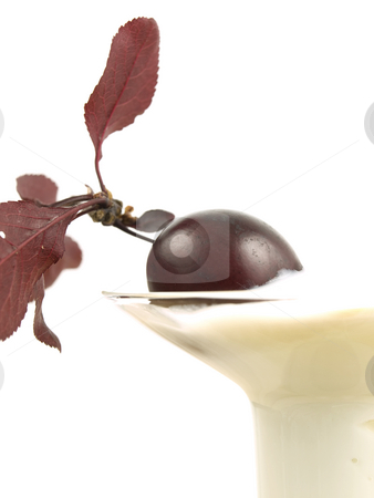 To use this stock image in your creative project, please select the size you need over to the right and click the "Add to Cart" button.
Your downloaded image will come with the Cutcaster watermark removed so don’t worry about the watermark you see on this page. Close up of Cherry in Yogurt stock photo, Close up of Cherry in Yogurt on white background by John Teeter