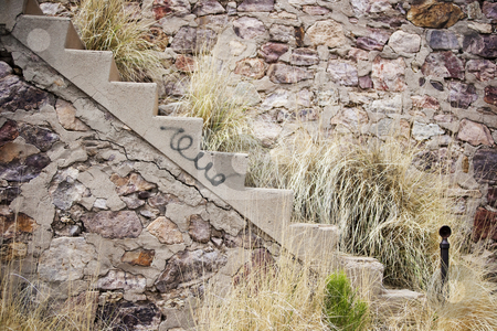 To use this stock image in your creative project, please select the size you need over to the right and click the "Add to Cart" button.
Your downloaded image will come with the Cutcaster watermark removed so don’t worry about the watermark you see on this page. Stairway with weeds and graffiti stock photo, Stairway with graffiti and overgrown weeds by Scott Griessel