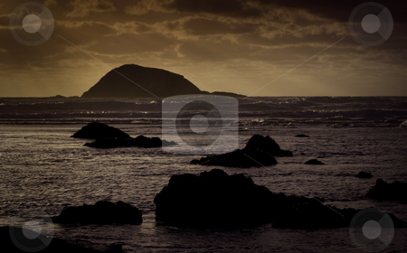 To use this stock image in your creative project, please select the size you need over to the right and click the "Add to Cart" button.
Your downloaded image will come with the Cutcaster watermark removed so don’t worry about the watermark you see on this page. Maori Bay stock photo, Late afternoon sun on a stormy Maori Bay, near Muriwai Beach, North Island, New Zealand. by Robin Ducker