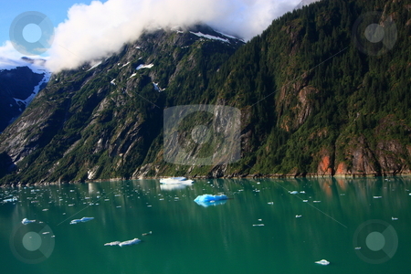 To use this stock image in your creative project, please select the size you need over to the right and click the "Add to Cart" button.
Your downloaded image will come with the Cutcaster watermark removed so don’t worry about the watermark you see on this page. Endicott Arm Fjord, Inner Passage Alaska stock photo, Taken from the deck of Princess Cruise Lines' ship, the Star Princess as we enter the Endicott Arm Fjord in Alaska's inner passage by Bernard Cruz