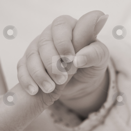 To use this stock image in your creative project, please select the size you need over to the right and click the "Add to Cart" button.
Your downloaded image will come with the Cutcaster watermark removed so don’t worry about the watermark you see on this page. Baby Hand stock photo, Monochrome photo of a baby's hand holding an adult's finger by Inge Schepers