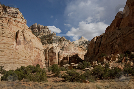 To use this stock image in your creative project, please select the size you need over to the right and click the "Add to Cart" button.
Your downloaded image will come with the Cutcaster watermark removed so don’t worry about the watermark you see on this page. Capitol Reef National Park stock photo, View of the red rock formations in Capitol Reef National Park with blue sky by Mark Smith
