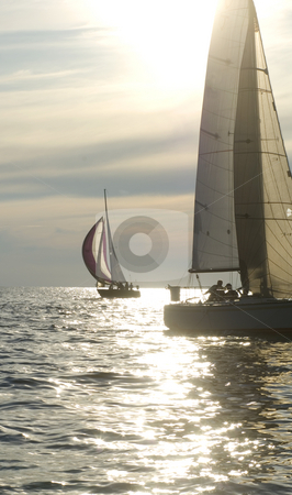 To use this stock image in your creative project, please select the size you need over to the right and click the "Add to Cart" button.
Your downloaded image will come with the Cutcaster watermark removed so don’t worry about the watermark you see on this page. Sunset sailing stock photo, Sailboats riding the wind into the sunset by Jonathan Hull