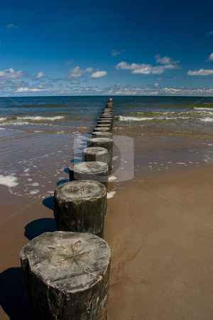 To use this stock image in your creative project, please select the size you need over to the right and click the "Add to Cart" button.
Your downloaded image will come with the Cutcaster watermark removed so don’t worry about the watermark you see on this page. Baltic Sea stock photo, A beautiful beach in Baltic Sea, Poland by Adam Kraszewski