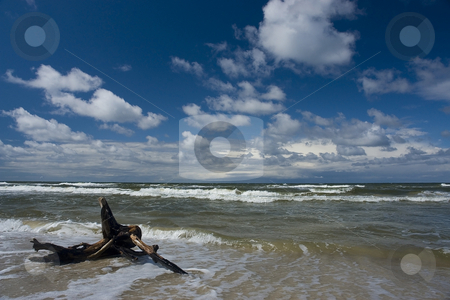 To use this stock image in your creative project, please select the size you need over to the right and click the "Add to Cart" button.
Your downloaded image will come with the Cutcaster watermark removed so don’t worry about the watermark you see on this page. Baltic Sea stock photo, A beautiful beach in Baltic Sea, Poland by Adam Kraszewski