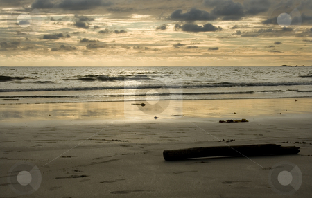 To use this stock image in your creative project, please select the size you need over to the right and click the "Add to Cart" button.
Your downloaded image will come with the Cutcaster watermark removed so don’t worry about the watermark you see on this page. Horizon stock photo, Evening summer sun on the beach by Marc Torrell