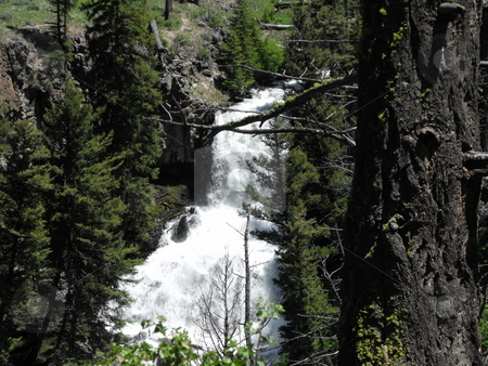 To use this stock image in your creative project, please select the size you need over to the right and click the "Add to Cart" button.
Your downloaded image will come with the Cutcaster watermark removed so don’t worry about the watermark you see on this page. Yellowstone Waterfall stock photo, A waterfall in Yellowstone National Park by Kim Williams