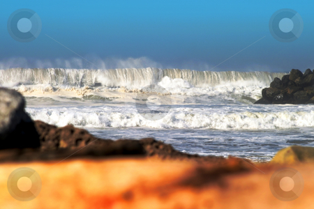 To use this stock image in your creative project, please select the size you need over to the right and click the "Add to Cart" button.
Your downloaded image will come with the Cutcaster watermark removed so don’t worry about the watermark you see on this page. Big Wave stock photo, Big Wave stormy ocean waves with drift wood in the foreground. by Henrik Lehnerer