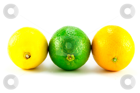 To use this stock image in your creative project, please select the size you need over to the right and click the "Add to Cart" button.
Your downloaded image will come with the Cutcaster watermark removed so don’t worry about the watermark you see on this page. Lemon, Lime and Orange in a Line stock photo, Single whole lemon, Lime and Orange standing in a row on a white background by Keith Wilson
