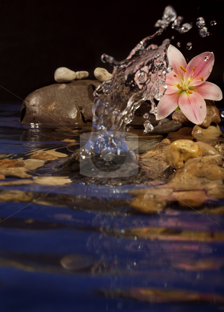 To use this stock image in your creative project, please select the size you need over to the right and click the "Add to Cart" button.
Your downloaded image will come with the Cutcaster watermark removed so don’t worry about the watermark you see on this page. Harmony stock photo, Composition for a relaxation from sea stones and a lily. by Sergey Goruppa