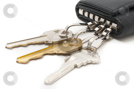 To use this stock image in your creative project, please select the size you need over to the right and click the "Add to Cart" button.
Your downloaded image will come with the Cutcaster watermark removed so don’t worry about the watermark you see on this page. Keys and key chain stock photo, Padlock, dial lock and keys with white background by Kenneth Ro