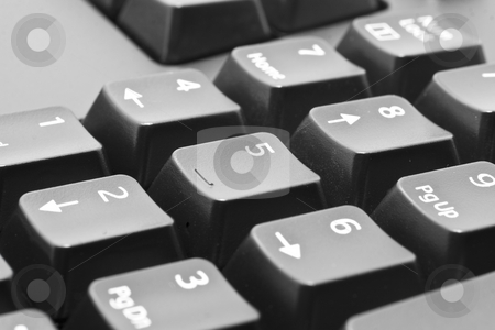 To use this stock image in your creative project, please select the size you need over to the right and click the "Add to Cart" button.
Your downloaded image will come with the Cutcaster watermark removed so don’t worry about the watermark you see on this page. Computer Keyboard number pad stock photo, Black Computer Keyboard number pad close up by Kenneth Ro
