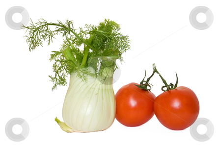 To use this stock image in your creative project, please select the size you need over to the right and click the "Add to Cart" button.
Your downloaded image will come with the Cutcaster watermark removed so don’t worry about the watermark you see on this page. Tomato and fennel stock photo, Tomato and fennel isolated on white background by ANTONIO SCARPI